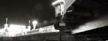 Brighton Nights