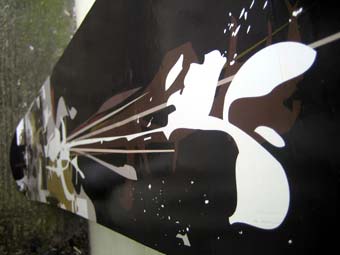delarge Snowboard